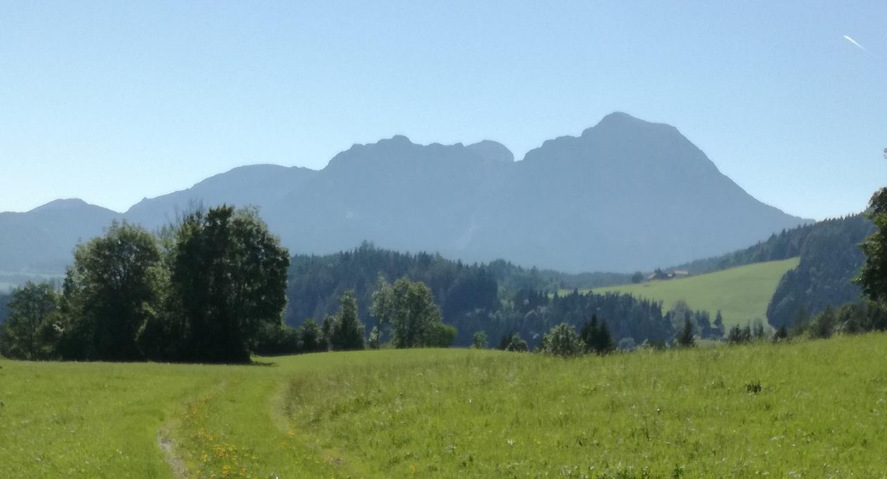 Ferienhof Kreilgut Rossleithen Bagian luar foto