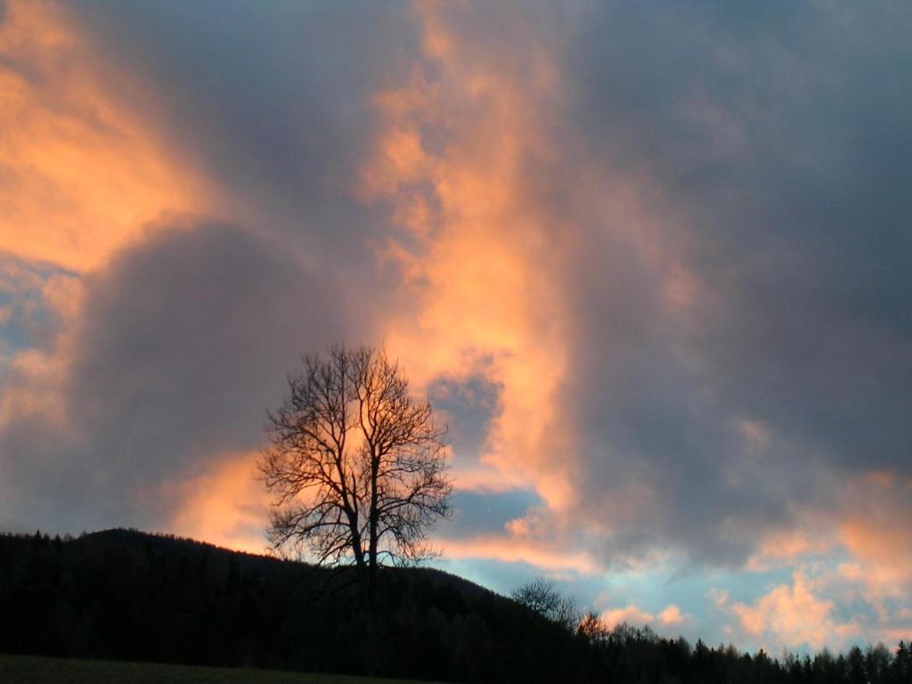 Ferienhof Kreilgut Rossleithen Bagian luar foto