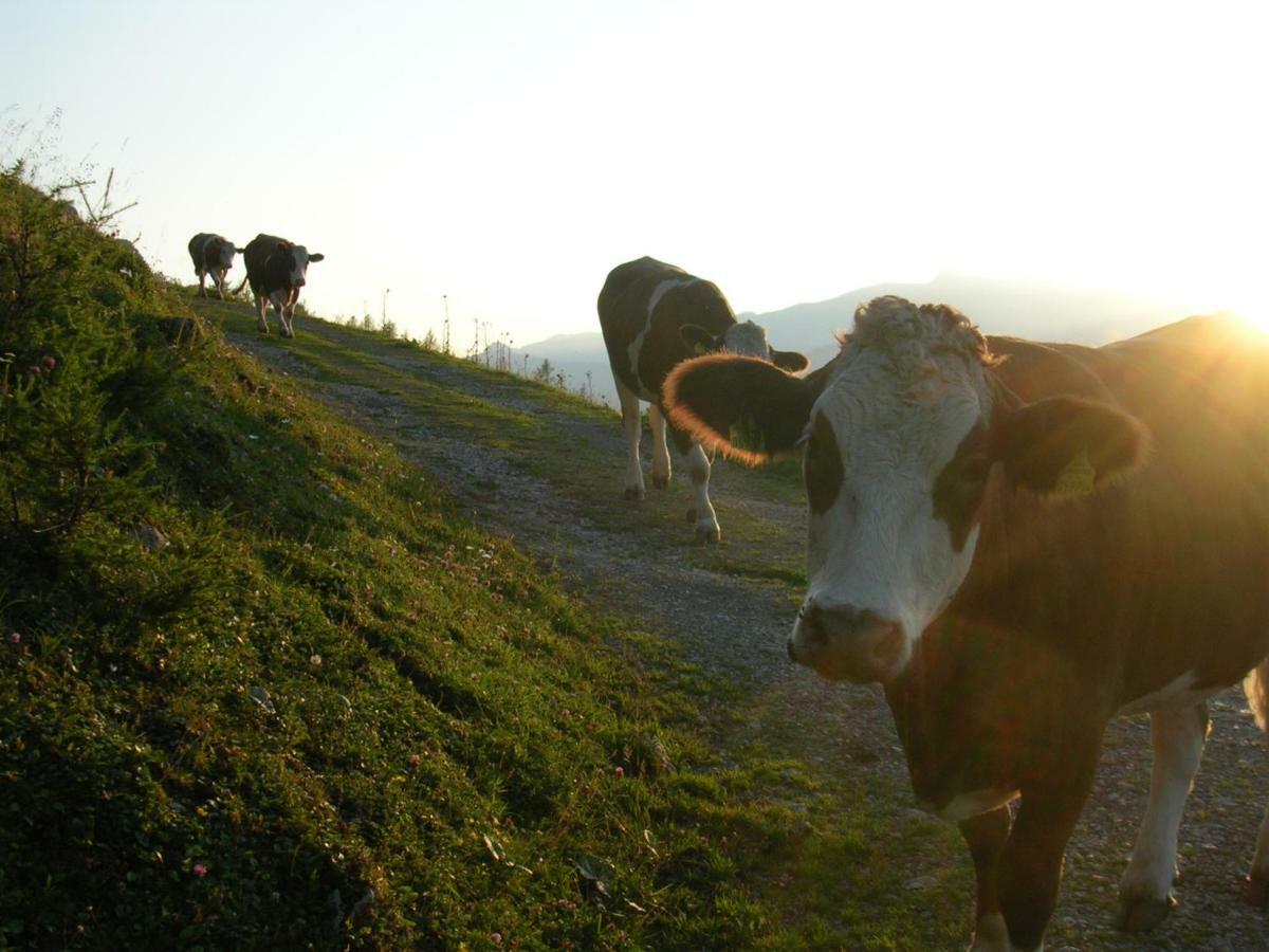 Ferienhof Kreilgut Rossleithen Bagian luar foto